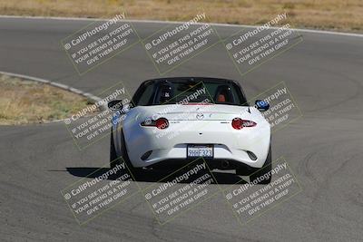 media/Nov-03-2023-Club Racer Events (Fri) [[fd9eff64e3]]/Yellow/Back Shots/